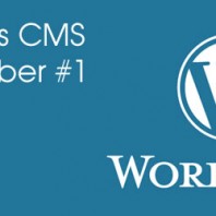 WordPress CMS is still number one